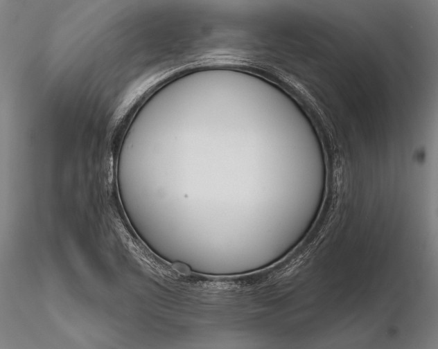 X0000116381461200912161450