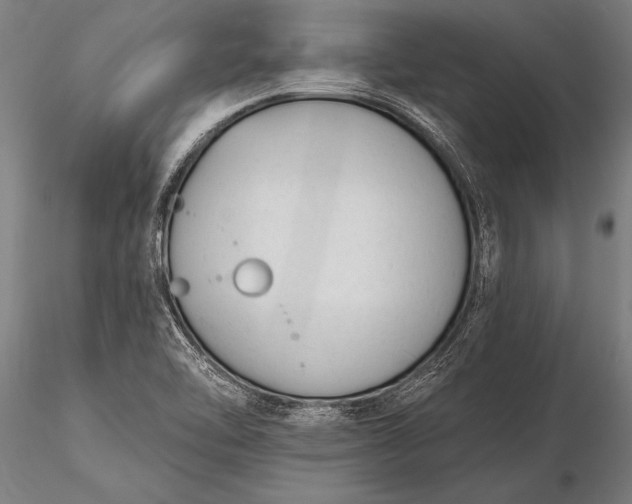 X0000116381462200912161450