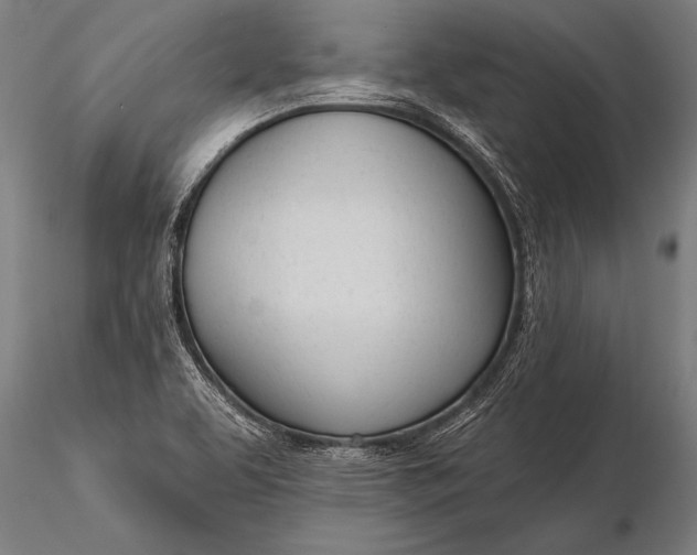 X0000116381463200912161450