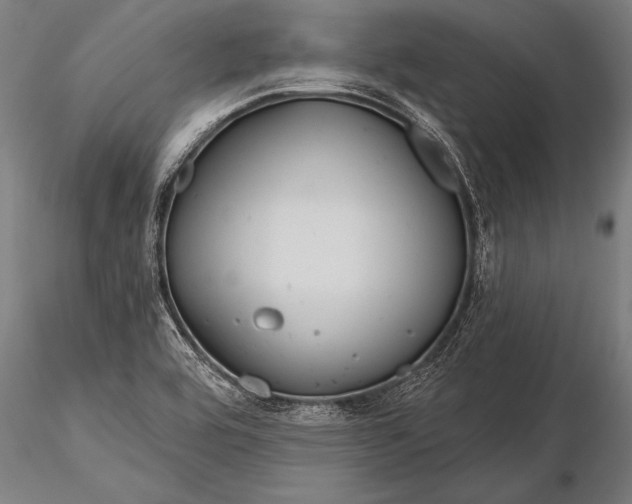 X0000116381464200912161450