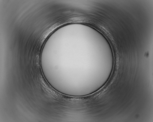 X0000116381465200912161450