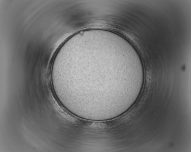 X0000116381466200912161450