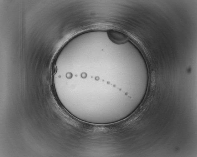 X0000116381467200912161450