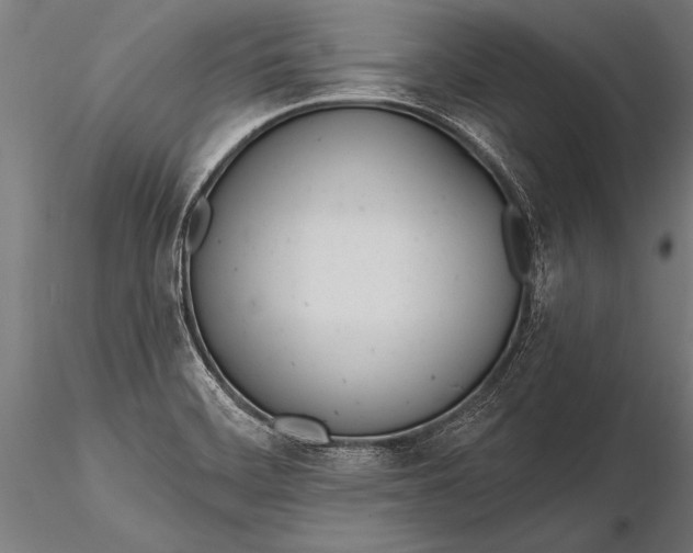 X0000116381468200912161450