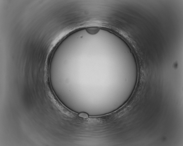 X0000116381469200912161450