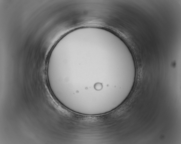 X0000116381470200912161449