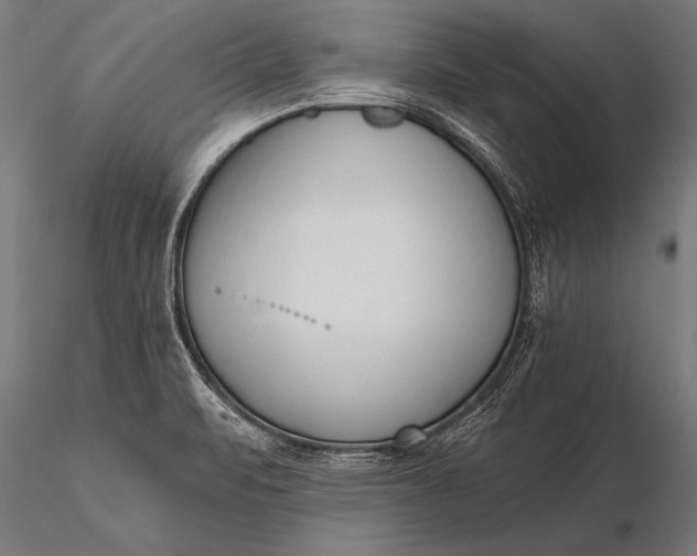 X0000116381471200912161449