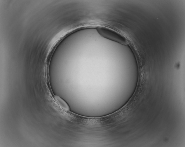 X0000116381472200912161449