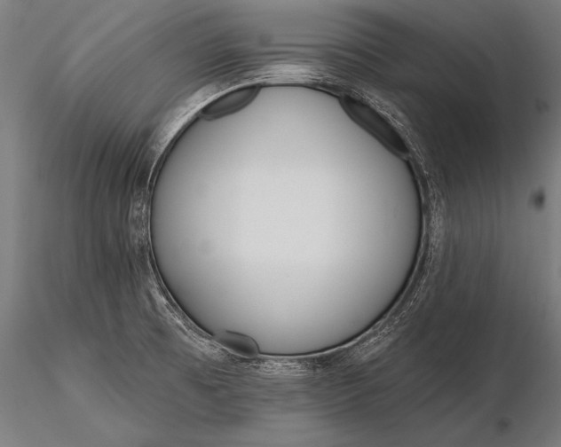 X0000116381473200912161449