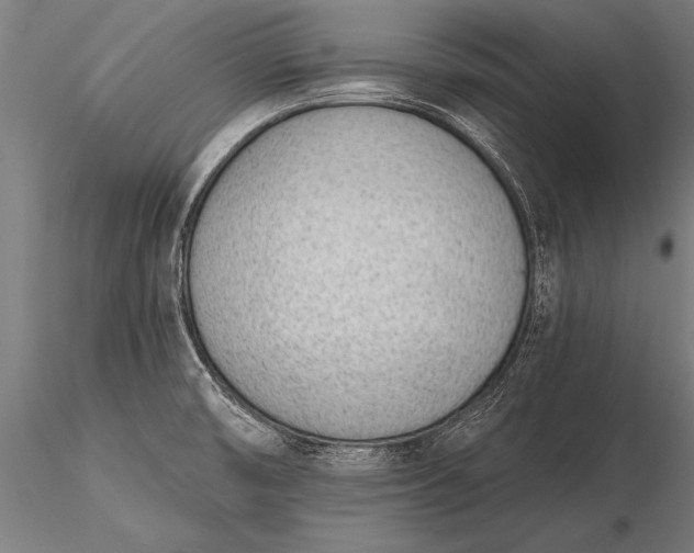 X0000116381474200912161449
