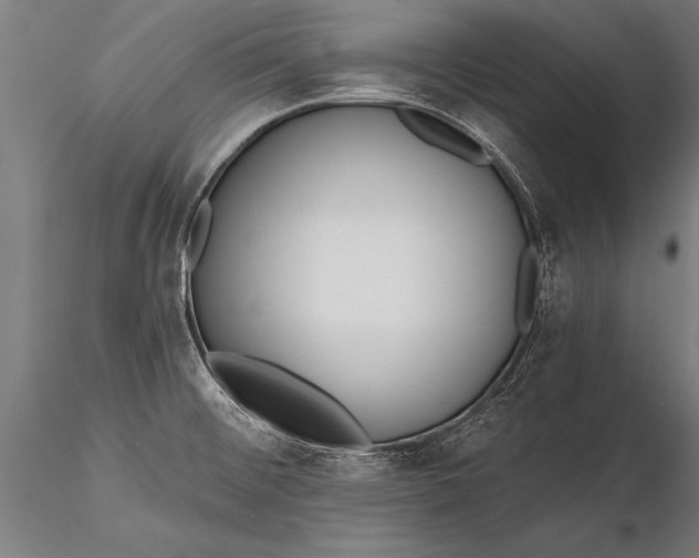 X0000116381476200912161449