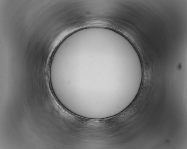 X0000116381478200912161449