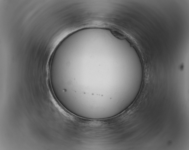 X0000116381479200912161449