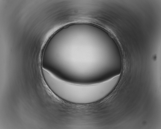 X0000116381480200912161449