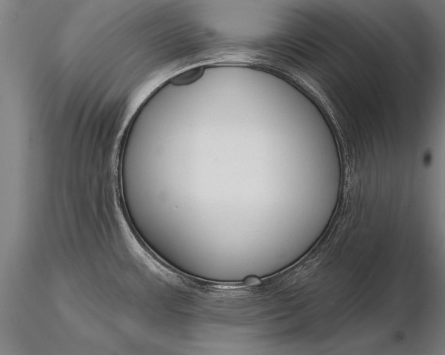 X0000116381483200912161449