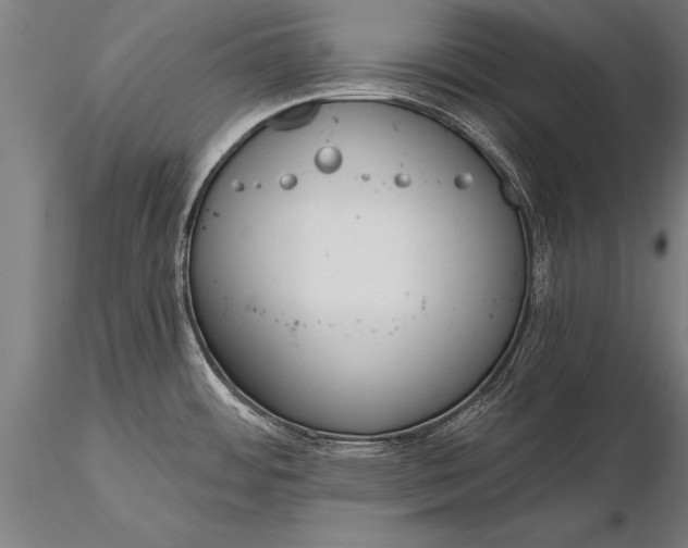 X0000116381484200912161449