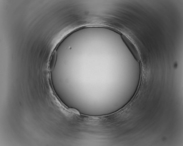 X0000116381485200912161449
