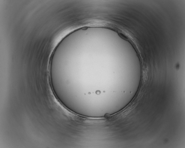 X0000116381487200912161449