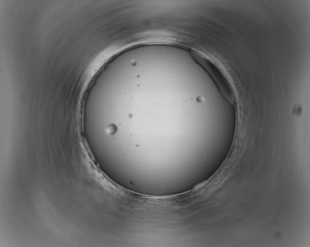 X0000116381488200912161449