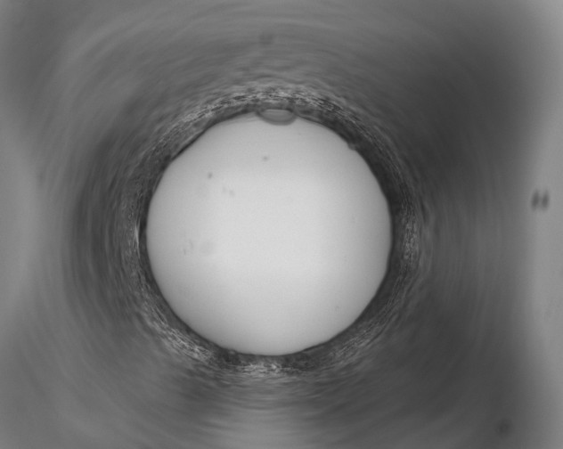 X0000116381489200912161449