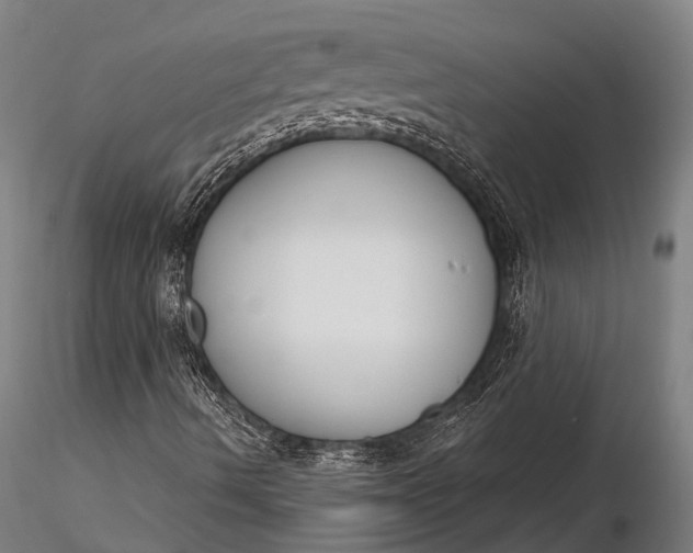 X0000116381490200912161449