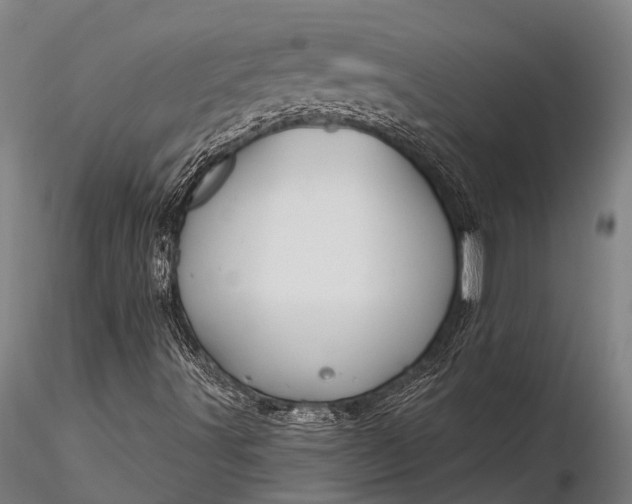 X0000116381491200912161449
