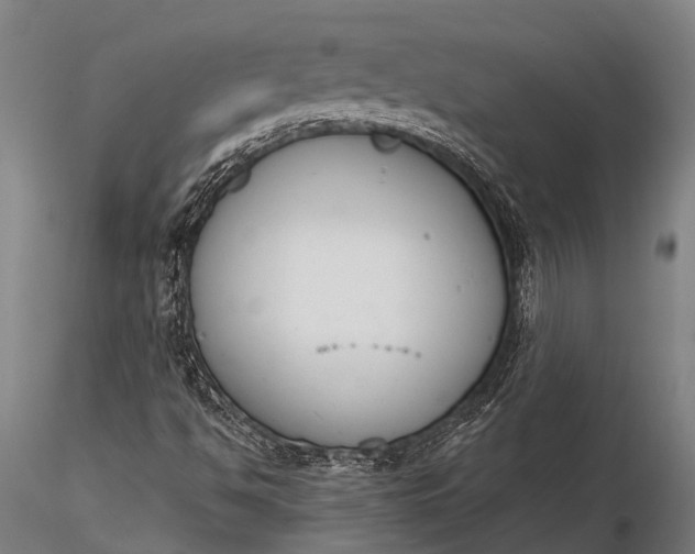 X0000116381494200912161449