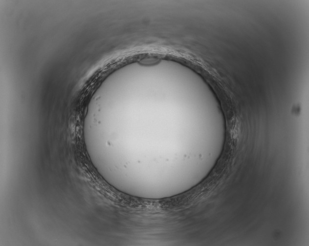X0000116381495200912161449
