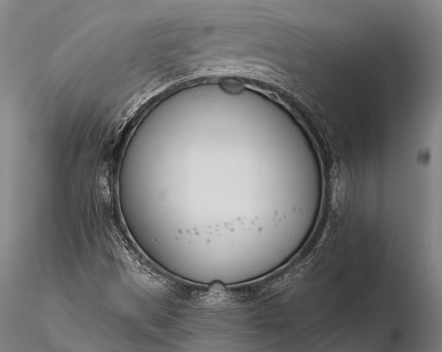 X0000116381497200912161449