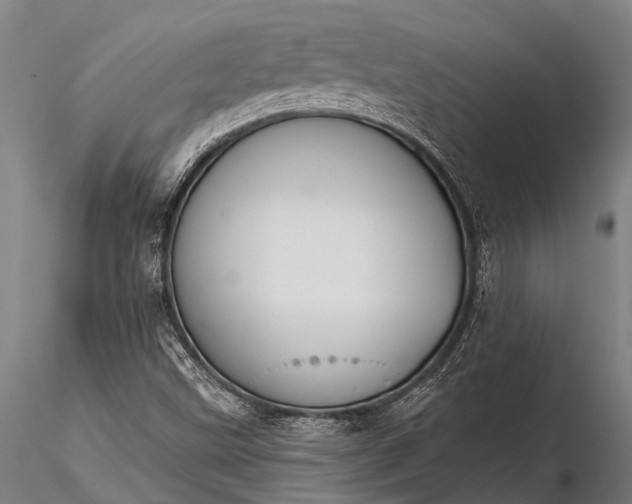 X0000116381499200912161449