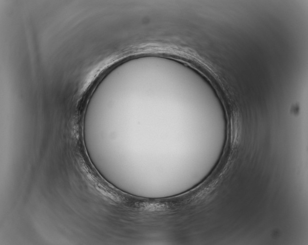 X0000116381501200912161449