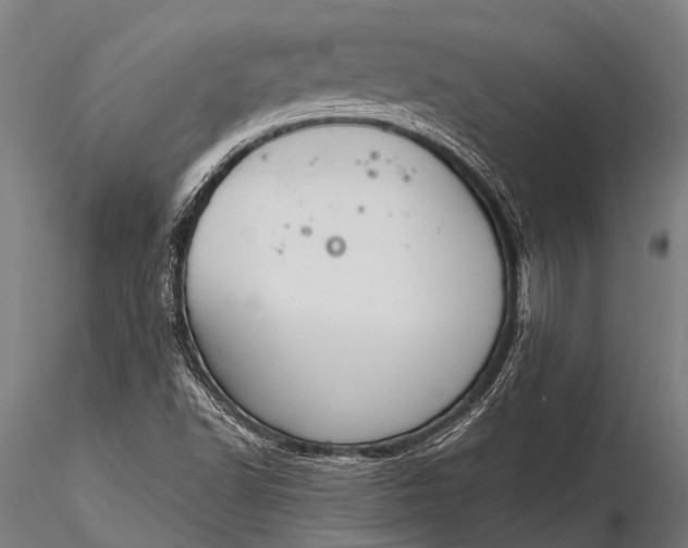 X0000116381502200912161449