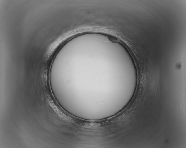 X0000116381503200912161449