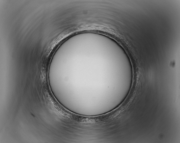 X0000116381505200912161449