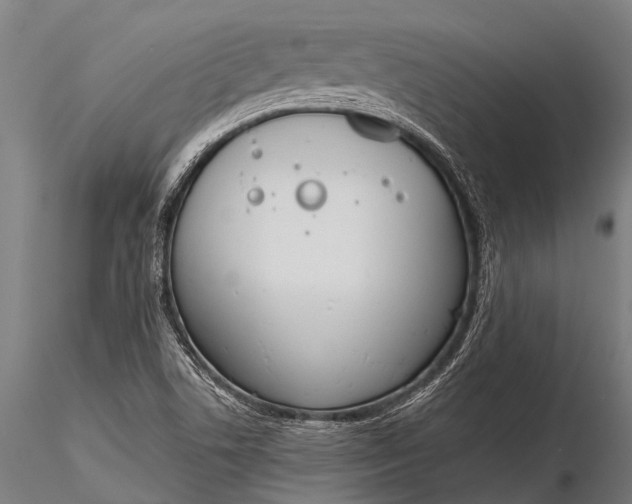 X0000116381506200912161449