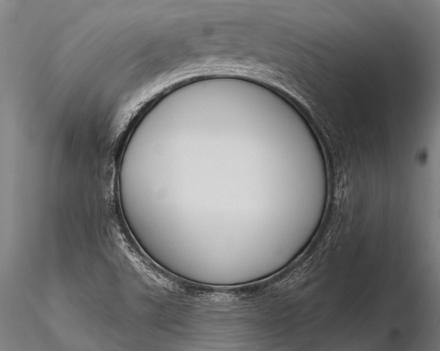 X0000116381507200912161449
