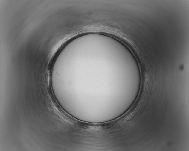 X0000116381509200912161449