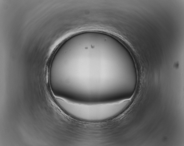 X0000116381510200912161449