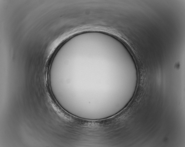 X0000116381511200912161449