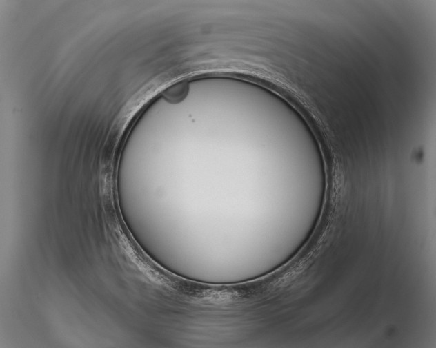 X0000116381513200912161449