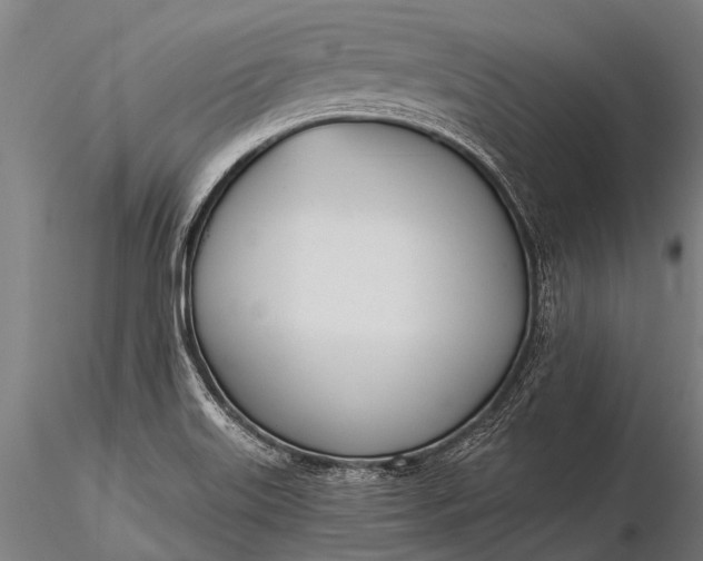 X0000116381515200912161449