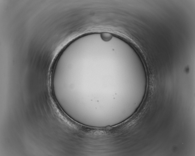 X0000116381517200912161449