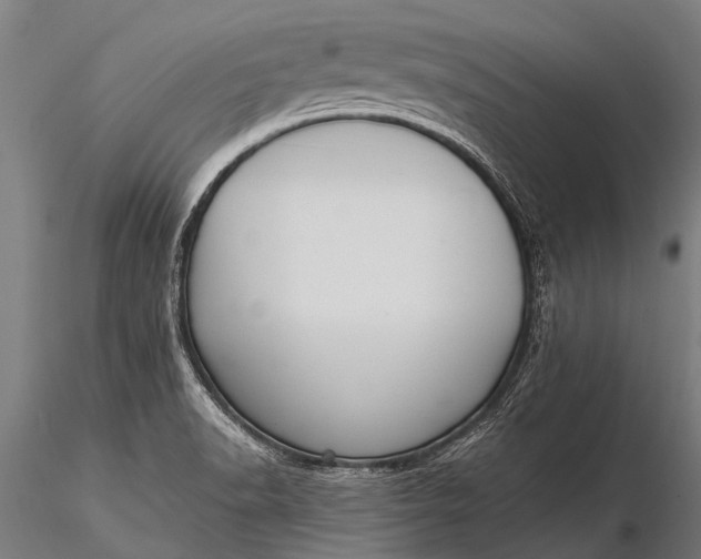 X0000116381518200912161449