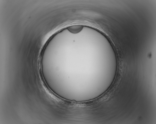 X0000116381519200912161449