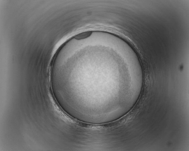 X0000116381522200912161449