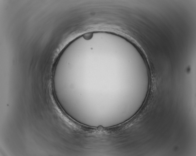 X0000116381525200912161449