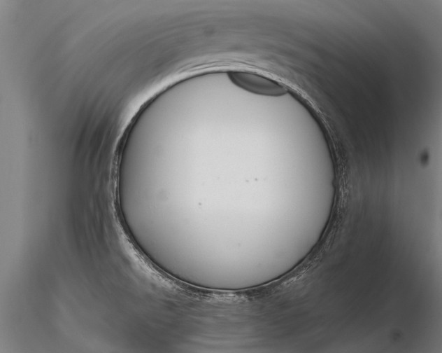 X0000116381526200912161449