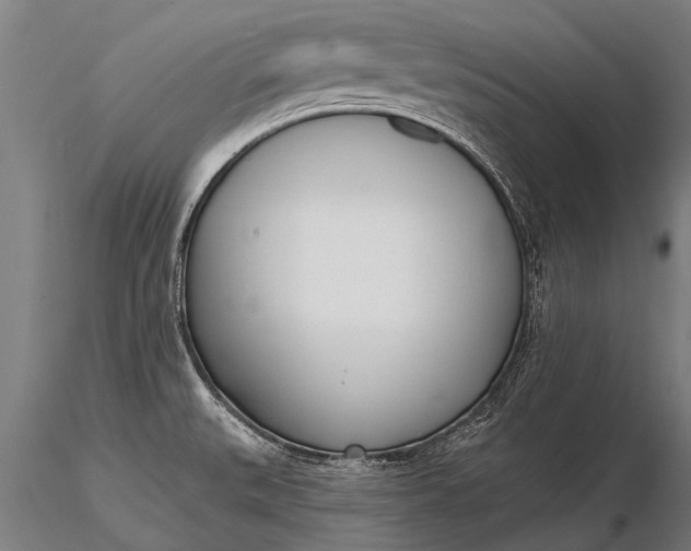 X0000116381527200912161449