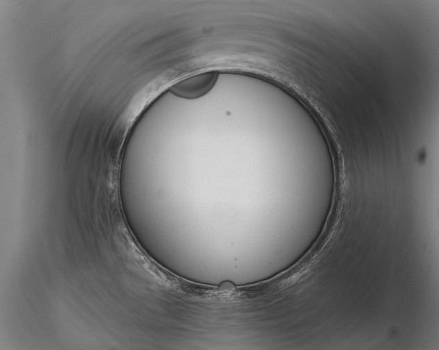 X0000116381529200912161449