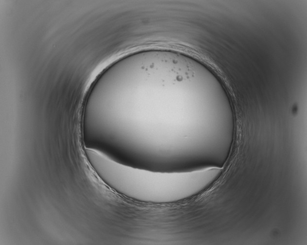 X0000116381530200912161449
